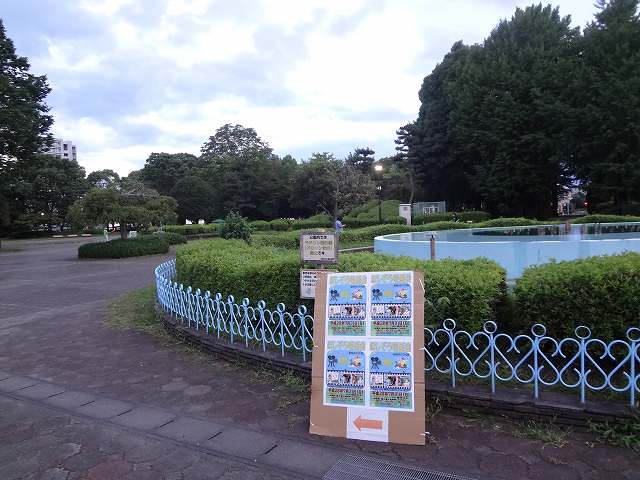 DSC06942