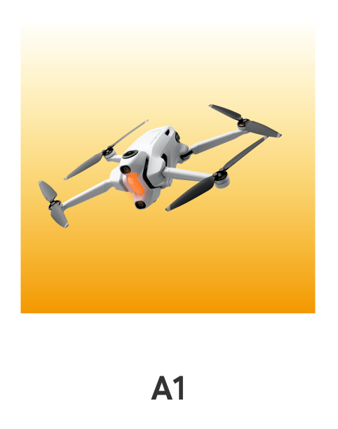 A1